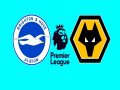 Nhận định kết quả Brighton vs Wolves 2h30 ngày 16/12