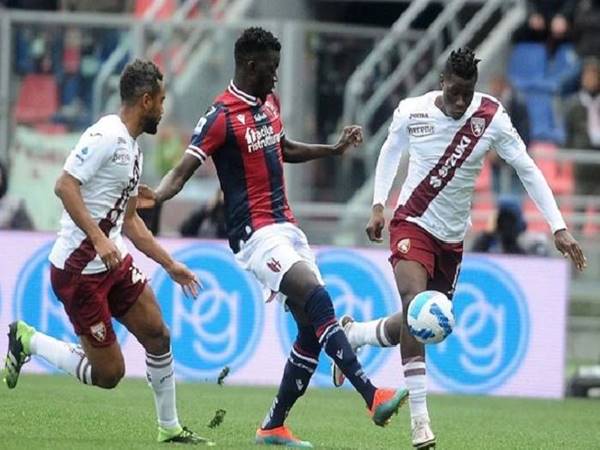 Nhận định bóng đá Torino vs Bologna (1h45 ngày 4/5)