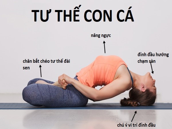 Những biến đổi của tư thế con cá