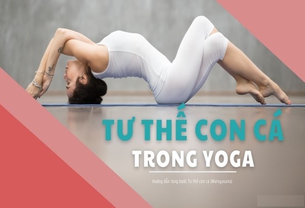 Tư thế con cá trong yoga là gì? Lợi ích của tư thế này