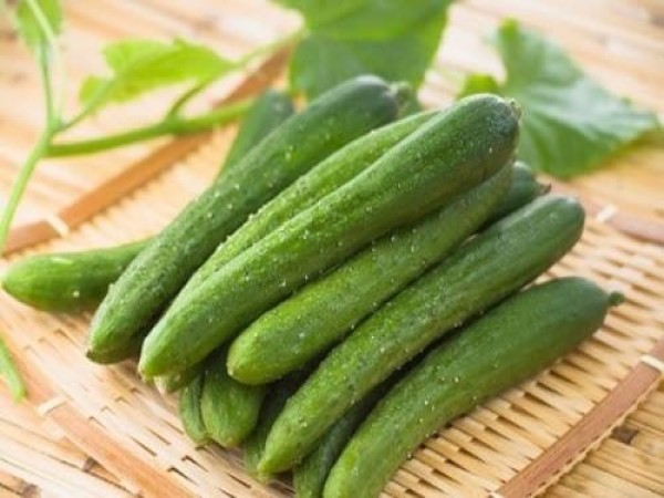 Quả dưa chuột trong giấc mơ báo hiệu hành trình mới?