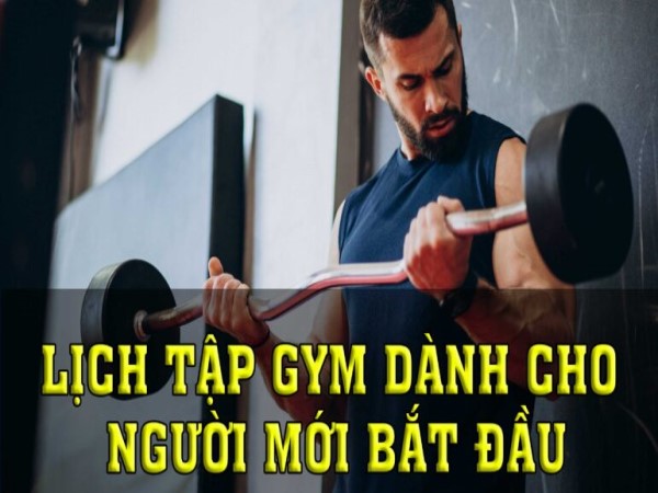 Lịch tập gym cho người mới bắt đầu lời khuyên từ chuyên gia